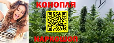 гидропоника Пушкино